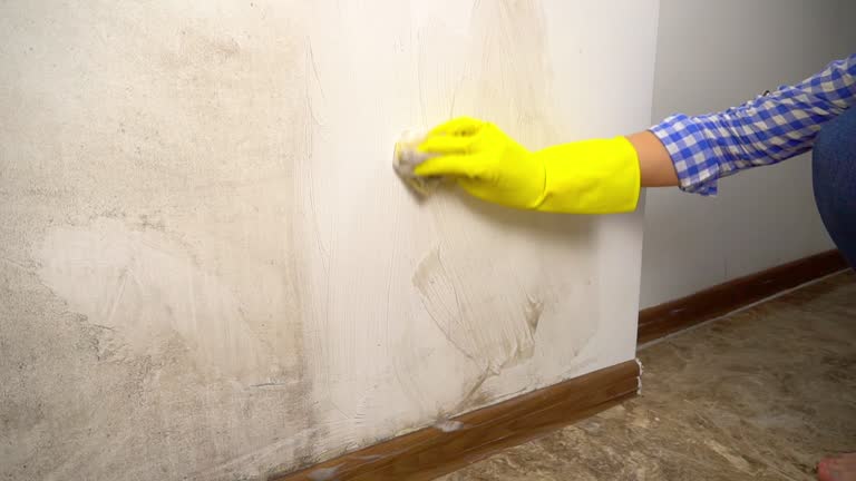 Best Mold Odor Removal Services  in Augusta, WI